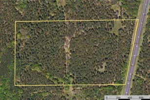 Tract 5 Hwy 155, Frankston, TX 75763 - Photo 27