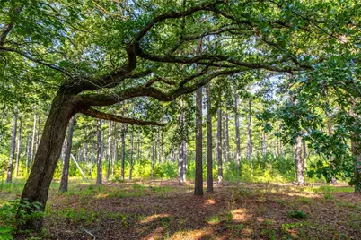 Tract 5 Hwy 155, Frankston, TX 75763 - Photo 7
