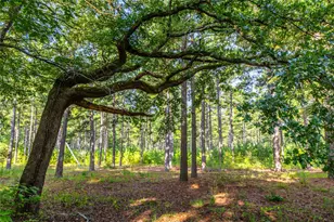 Tract 5 Hwy 155, Frankston, TX 75763 - Photo 7