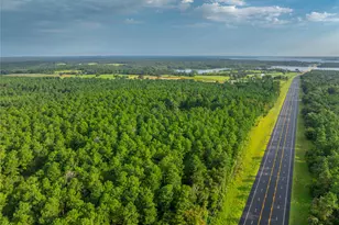 Tract 5 Hwy 155, Frankston, TX 75763 - Photo 25