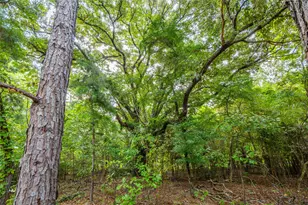 Tract 5 Hwy 155, Frankston, TX 75763 - Photo 15