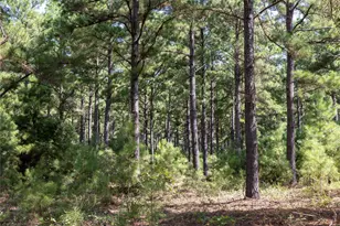 Tract 5 Hwy 155, Frankston, TX 75763 - Photo 13