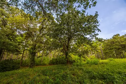 Tract 5 Hwy 155, Frankston, TX 75763 - Photo 17