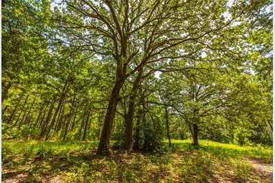 Tract 5 Hwy 155, Frankston, TX 75763 - Photo 3