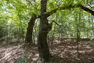 Tract 6 Hwy 155, Frankston, TX 75763 - Photo 17