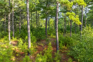 Tract 6 Hwy 155, Frankston, TX 75763 - Photo 13