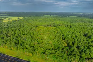 Tract 6 Hwy 155, Frankston, TX 75763 - Photo 11