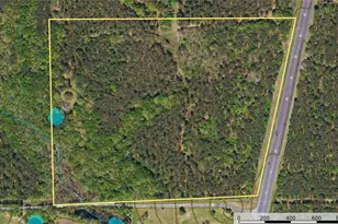 Tract 6 Hwy 155, Frankston, TX 75763 - Photo 27