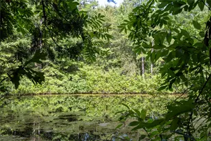 Tract 6 Hwy 155, Frankston, TX 75763 - Photo 23