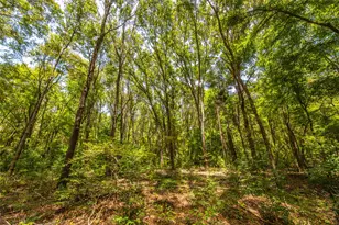 Tract 6 Hwy 155, Frankston, TX 75763 - Photo 19