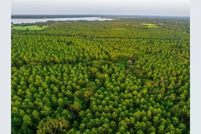 Tract 6 Hwy 155, Frankston, TX 75763 - Photo 7