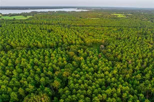 Tract 6 Hwy 155, Frankston, TX 75763 - Photo 7