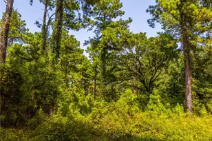 Tract 7 County Road 4221, Frankston, TX 75763 - Photo 3