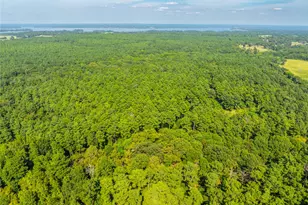 Tract 7 County Road 4221, Frankston, TX 75763 - Photo 27