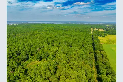 Tract 7 County Road 4221, Frankston, TX 75763 - Photo 29