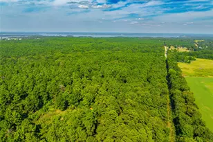 Tract 7 County Road 4221, Frankston, TX 75763 - Photo 29