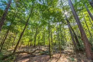 Tract 7 County Road 4221, Frankston, TX 75763 - Photo 19