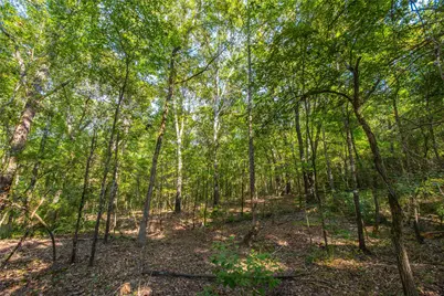 Tract 7 County Road 4221, Frankston, TX 75763 - Photo 21