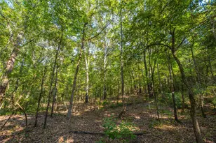 Tract 7 County Road 4221, Frankston, TX 75763 - Photo 21