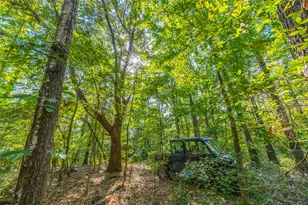 Tract 7 County Road 4221, Frankston, TX 75763 - Photo 15