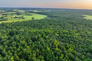 Tract 7 County Road 4221, Frankston, TX 75763 - Photo 25