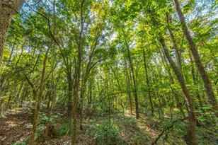 Tract 7 County Road 4221, Frankston, TX 75763 - Photo 17