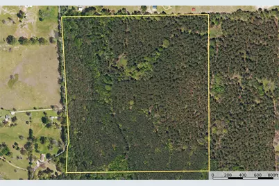 Tract 8 County Road 4221, Frankston, TX 75763 - Photo 23