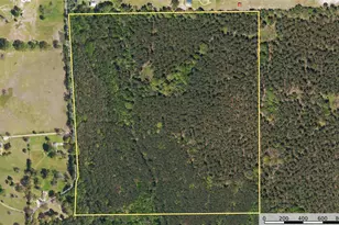 Tract 8 County Road 4221, Frankston, TX 75763 - Photo 23