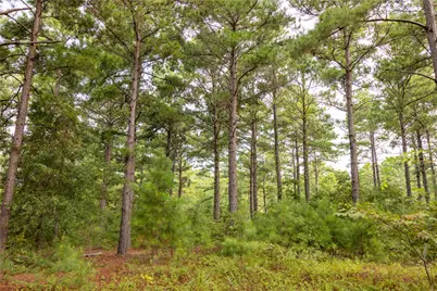 Tract 8 County Road 4221, Frankston, TX 75763 - Photo 5