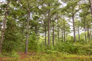 Tract 8 County Road 4221, Frankston, TX 75763 - Photo 5