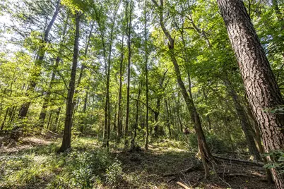 Tract 8 County Road 4221, Frankston, TX 75763 - Photo 9