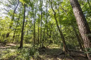 Tract 8 County Road 4221, Frankston, TX 75763 - Photo 9