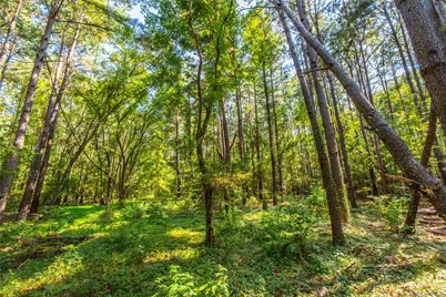 Tract 8 County Road 4221, Frankston, TX 75763 - Photo 15