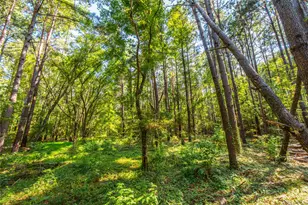 Tract 8 County Road 4221, Frankston, TX 75763 - Photo 15