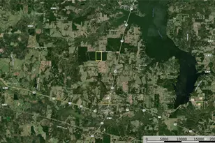 Tract 10 County Road 4222, Frankston, TX 75763 - Photo 29