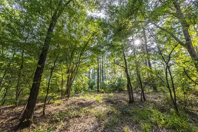 Tract 10 County Road 4222, Frankston, TX 75763 - Photo 19