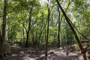 Tract 10 County Road 4222, Frankston, TX 75763 - Photo 3