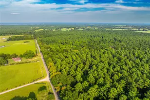 Tract 10 County Road 4222, Frankston, TX 75763 - Photo 25