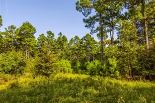 Tract 10 County Road 4222, Frankston, TX 75763 - Photo 7