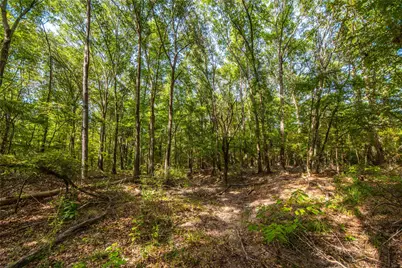 Tract 10 County Road 4222, Frankston, TX 75763 - Photo 13