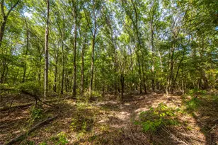 Tract 10 County Road 4222, Frankston, TX 75763 - Photo 13