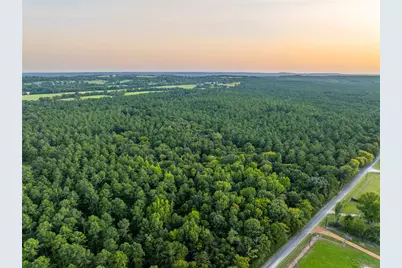 Tract 10 County Road 4222, Frankston, TX 75763 - Photo 1