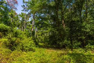 Tract 10 County Road 4222, Frankston, TX 75763 - Photo 9