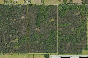 Tract 10 County Road 4222, Frankston, TX 75763 - Photo 27