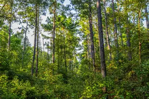 Tract 11 County Road 4222, Frankston, TX 75763 - Photo 5