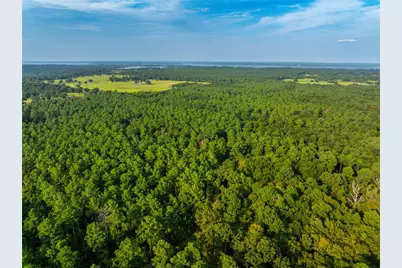Tract 11 County Road 4222, Frankston, TX 75763 - Photo 21