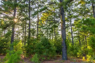 Tract 11 County Road 4222, Frankston, TX 75763 - Photo 13