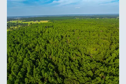 Tract 11 County Road 4222, Frankston, TX 75763 - Photo 23