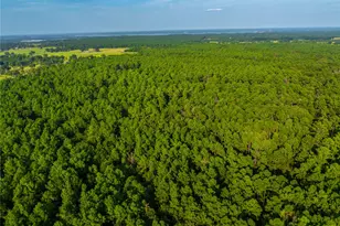 Tract 11 County Road 4222, Frankston, TX 75763 - Photo 23