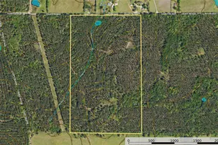 Tract 11 County Road 4222, Frankston, TX 75763 - Photo 25